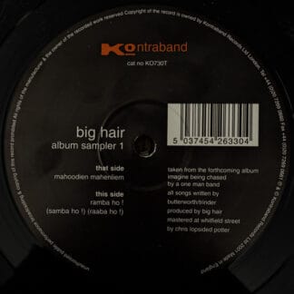 Big Hair - Album Sampler 1